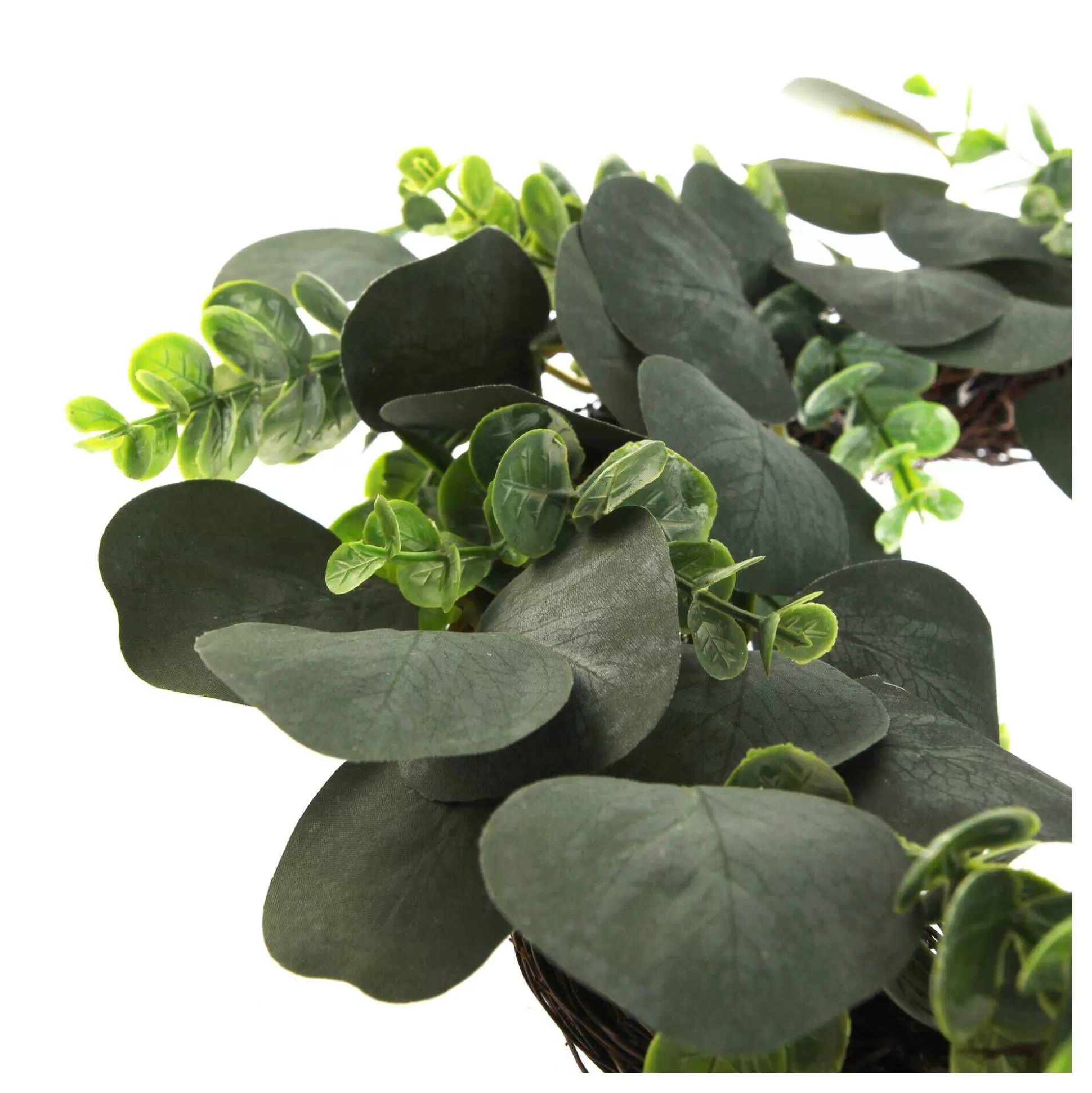 eucalyptus_wreath_48cm_3.webp Eucalyptus Wreath 48Cm-Hobbycraft Fashion