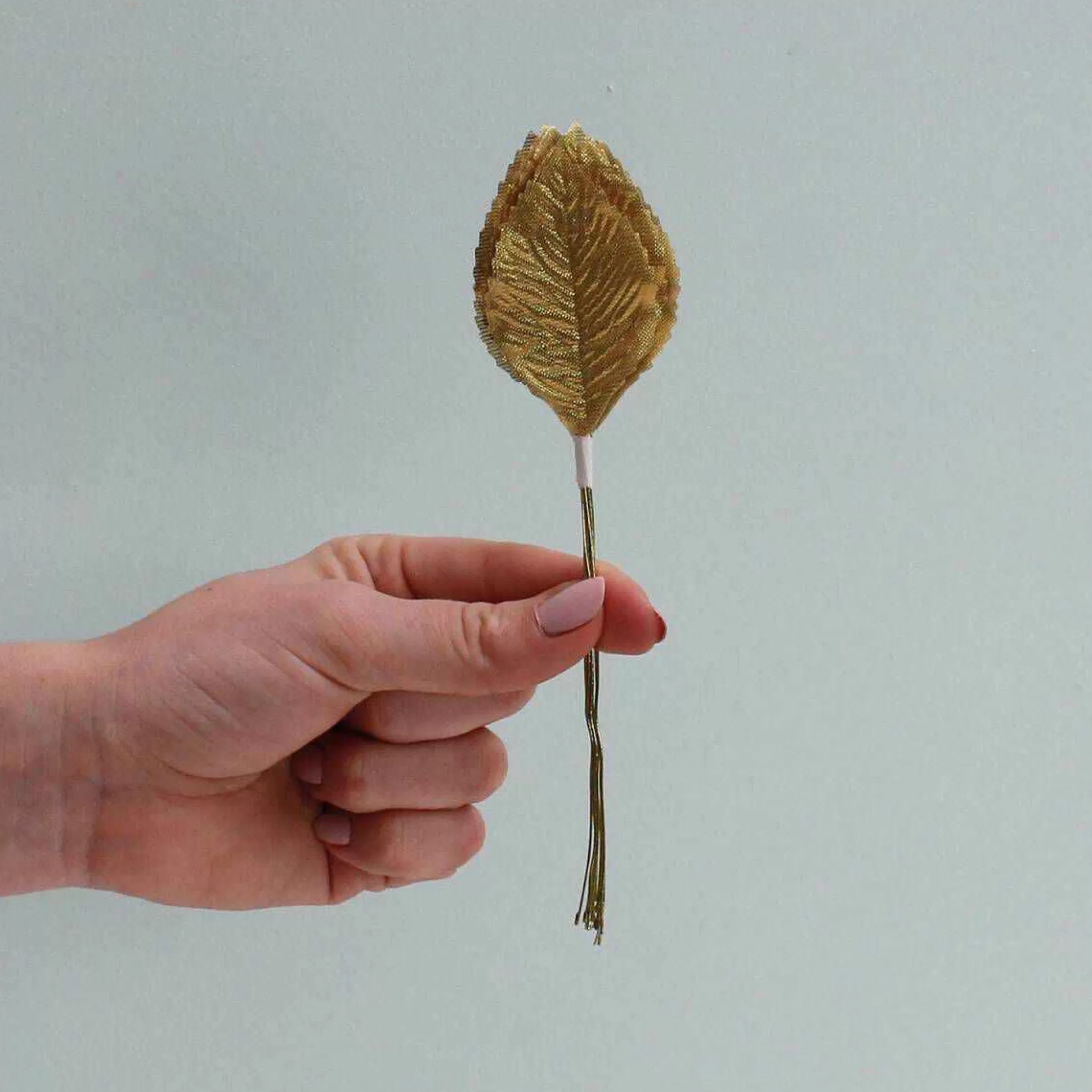 Gold Wired Rose Leaves 12 Pack-Hobbycraft Shop