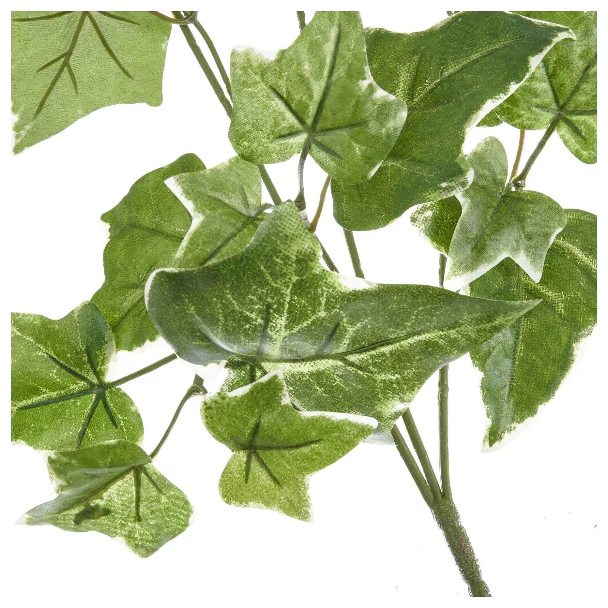 Green Ivy Garland 1.8M-Hobbycraft Clearance