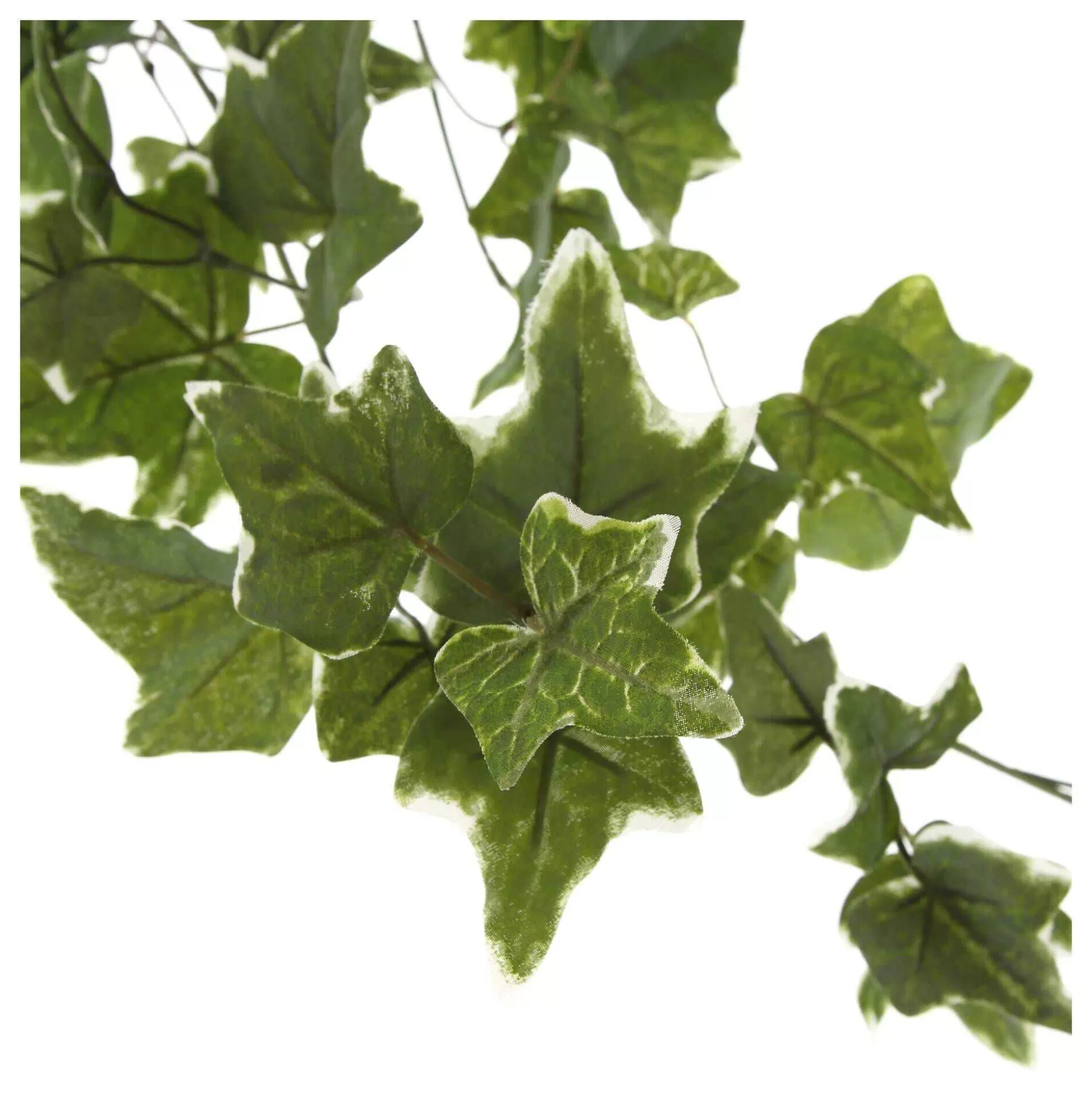 Ivy Garland 1.8M-Hobbycraft Online