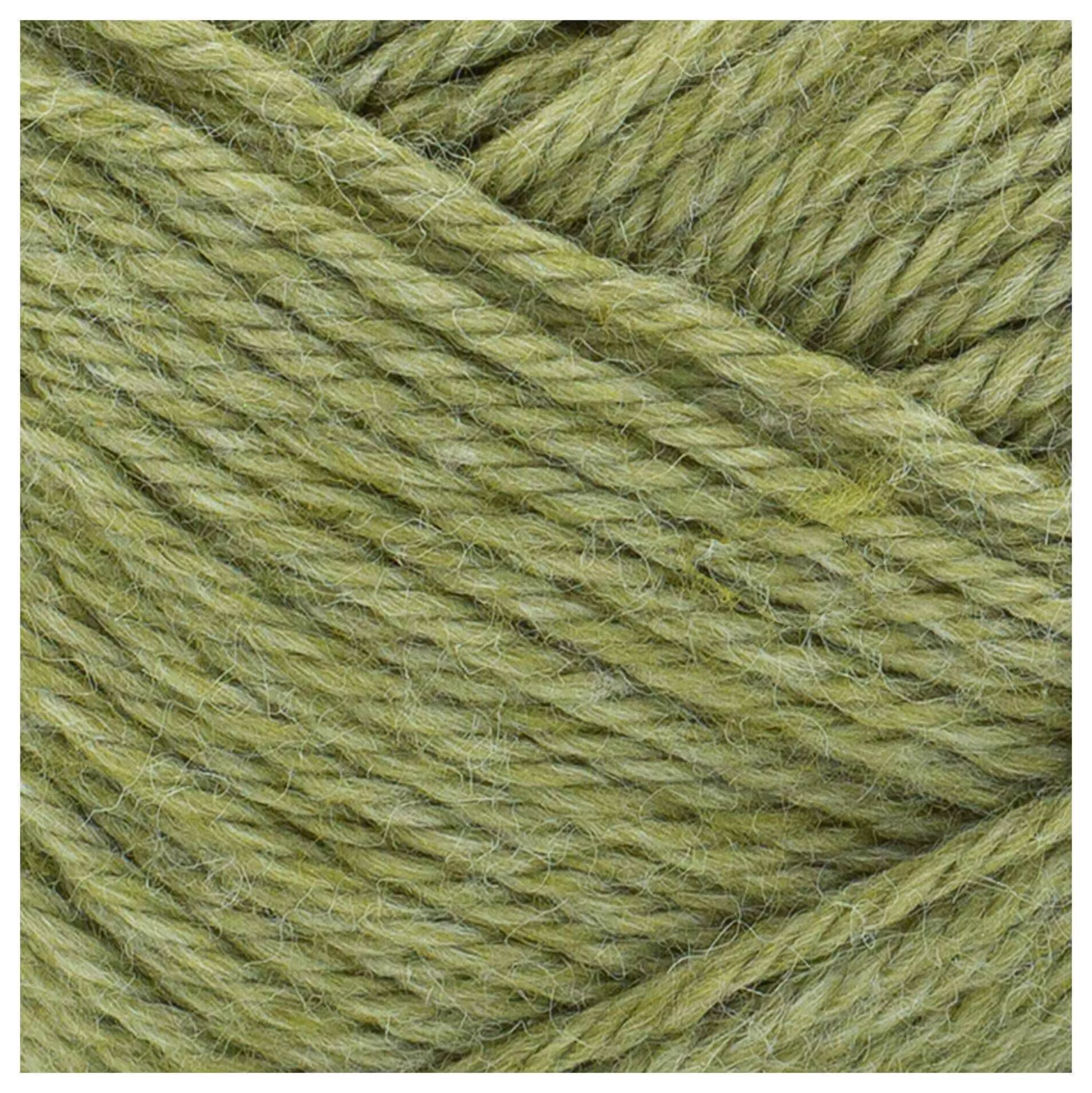 Lion Brand Olive Branch Basic Stitch Anti-Microbial Yarn 100G-Hobbycraft Flash Sale