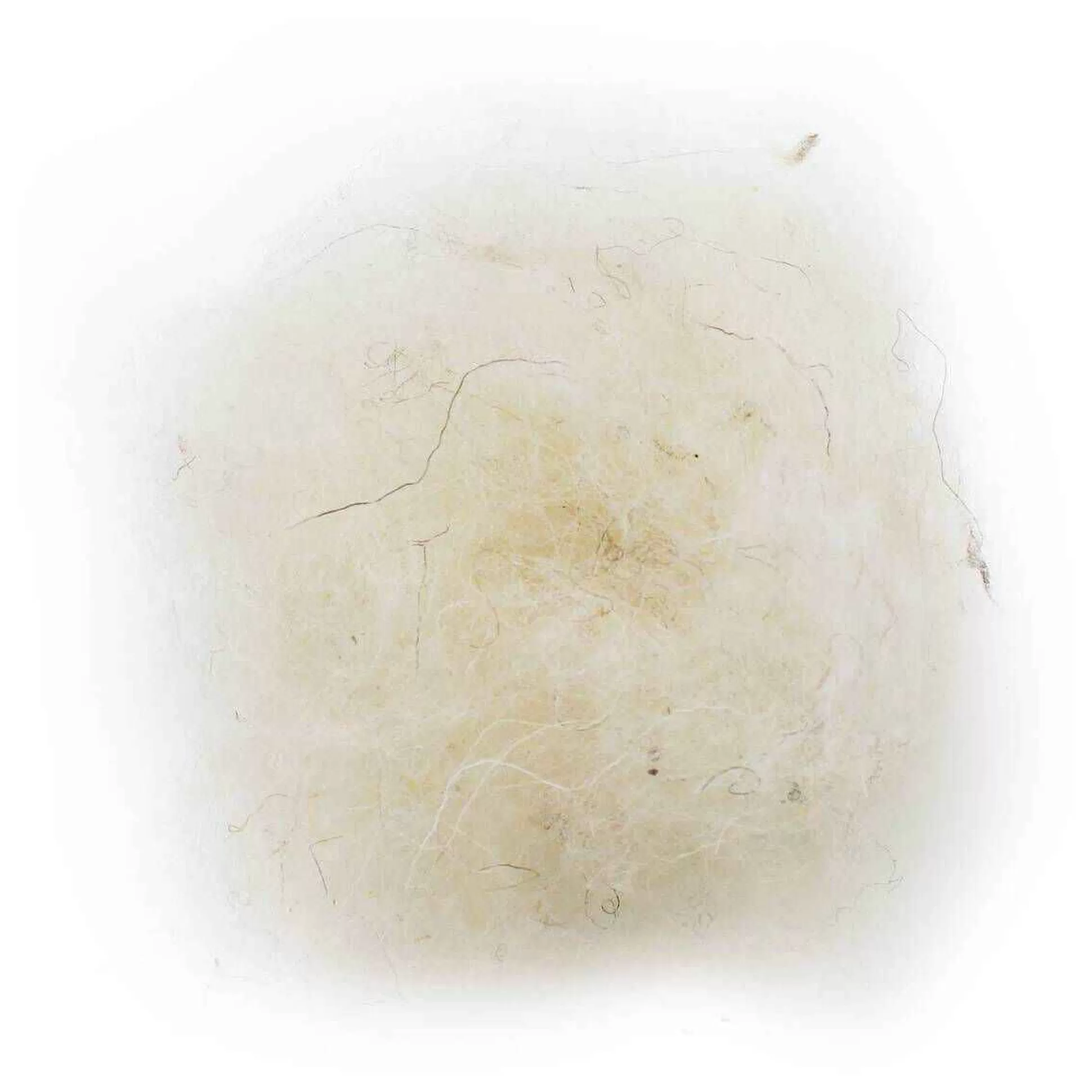 Natural Wool Toy Filling 250G-Hobbycraft Cheap