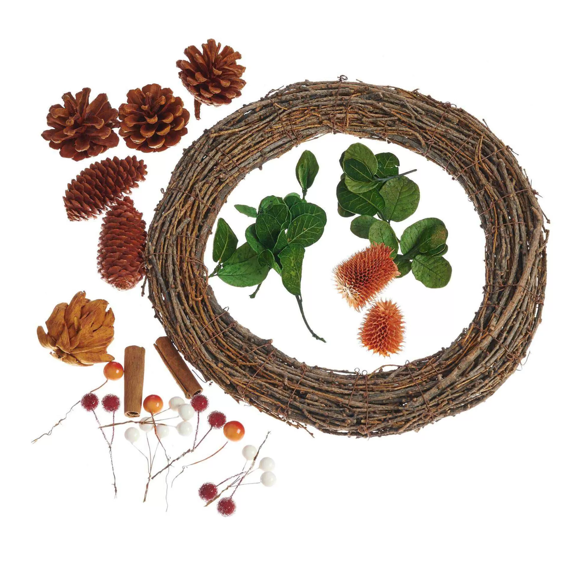 Natural Wreath Kit-Hobbycraft Clearance