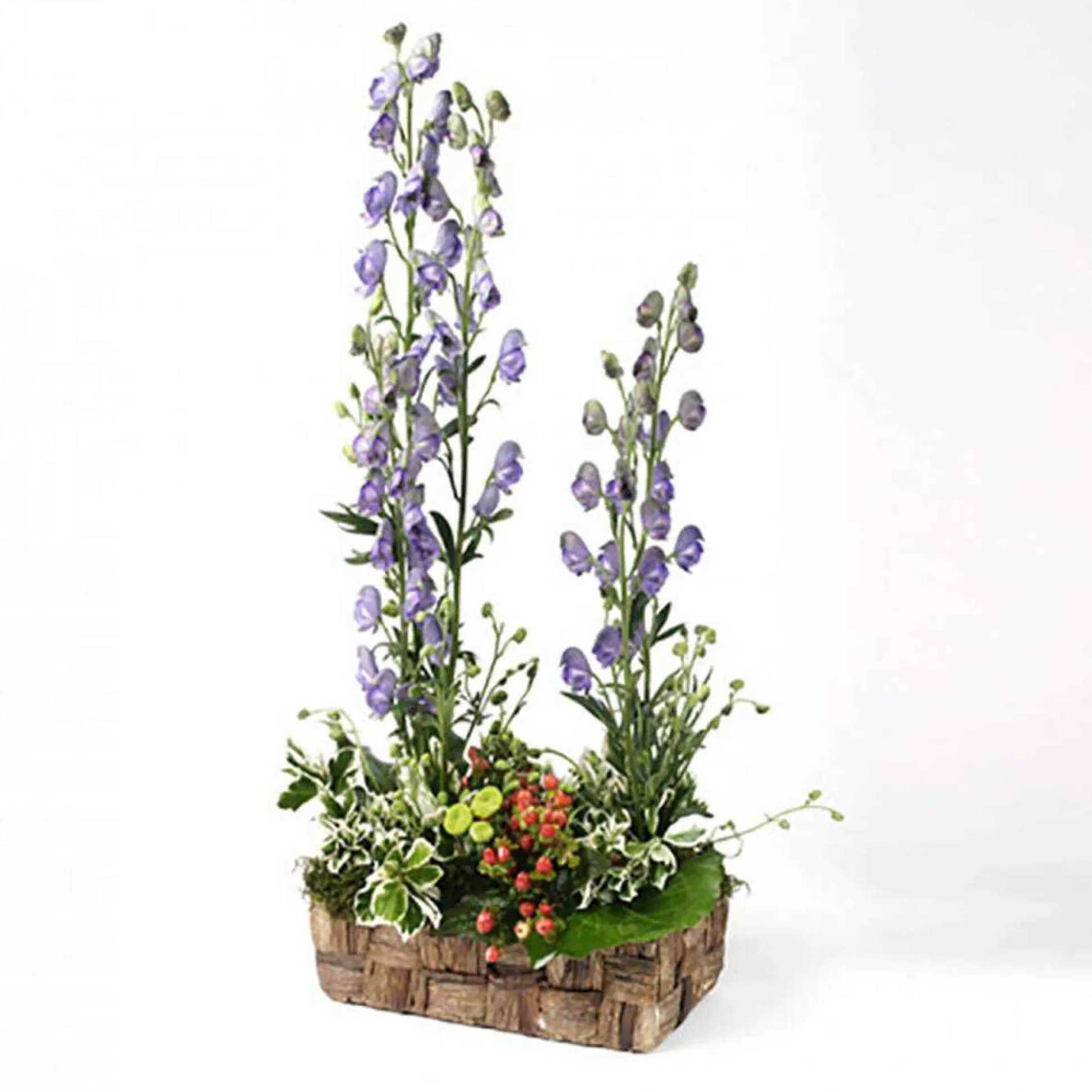 Oasis Floral Foam Brick 23Cm X 10.5Cm X 8Cm-Hobbycraft Clearance