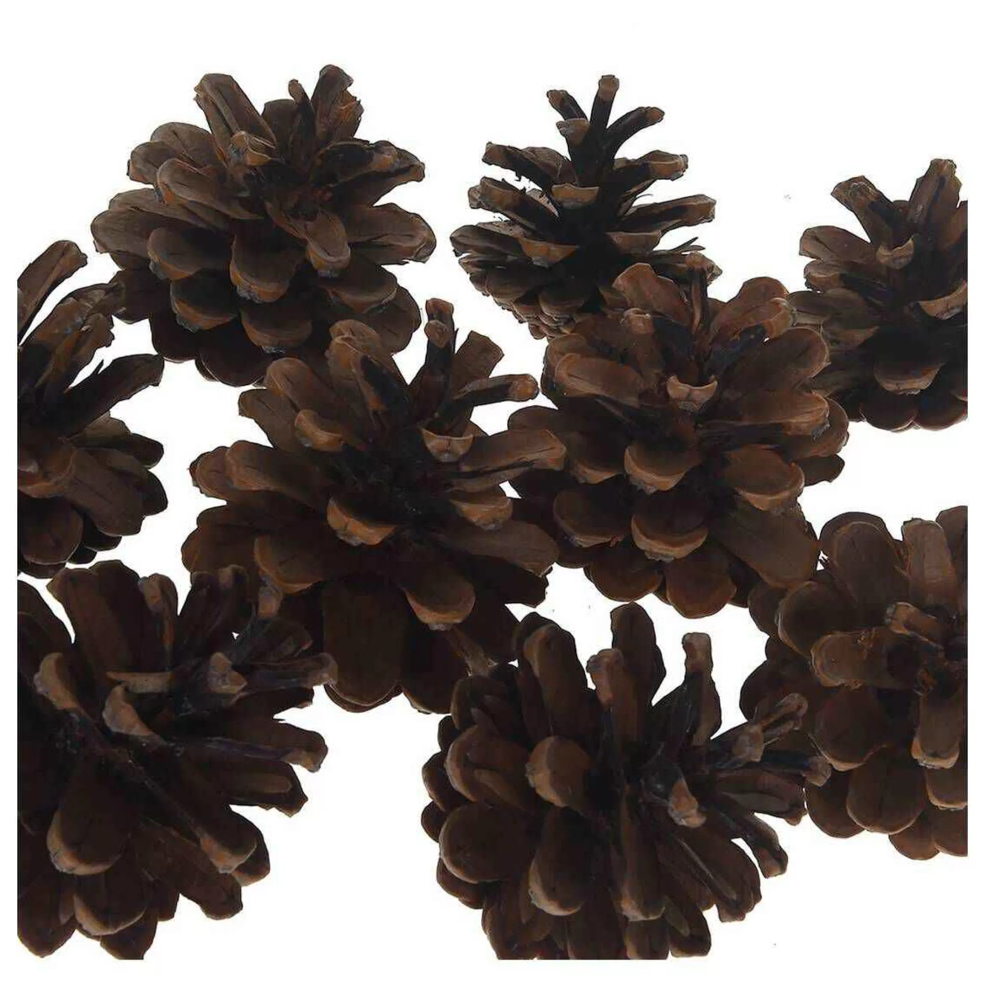 Pine Cones 200 G-Hobbycraft Cheap