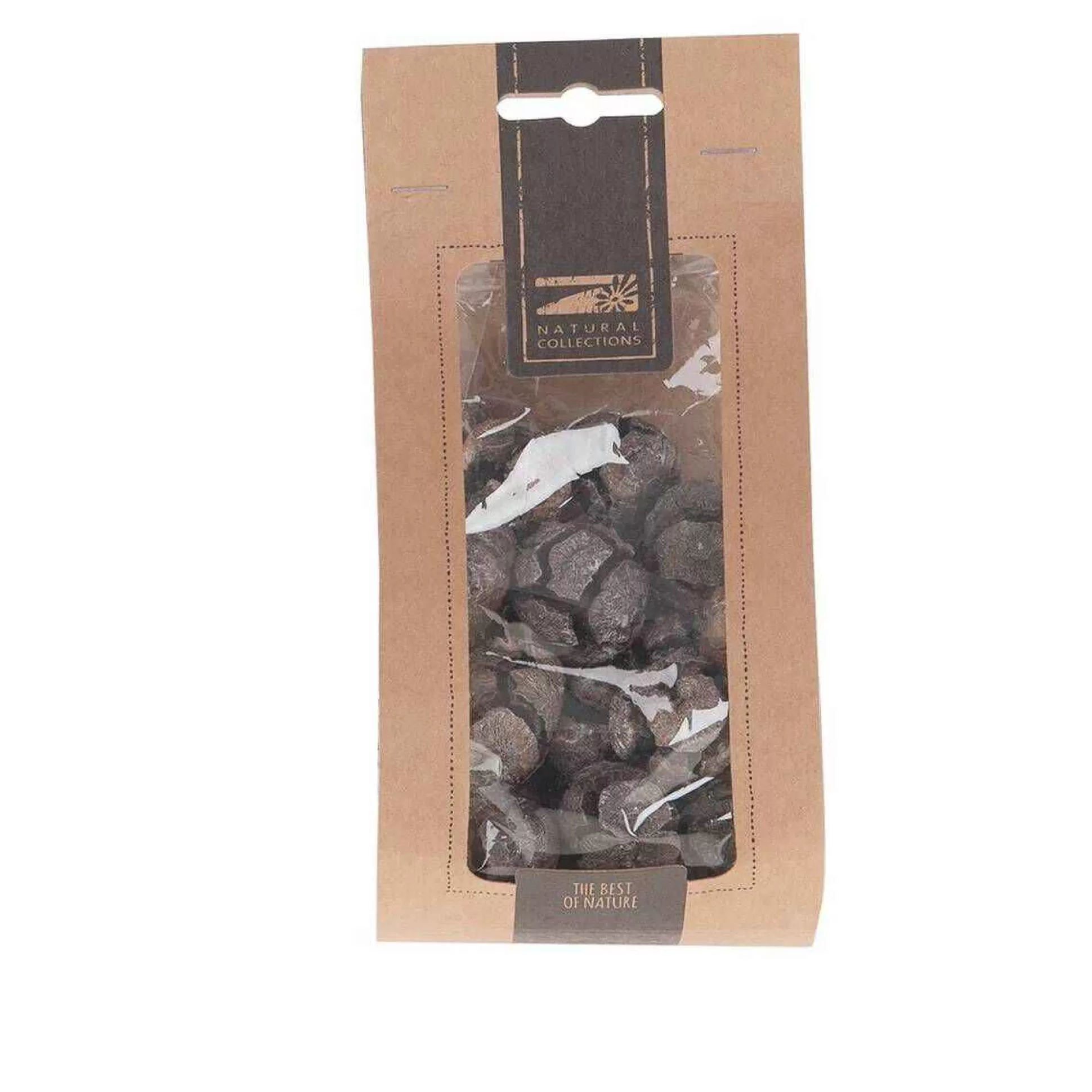 Pinus Cypresses 200 G-Hobbycraft Best Sale