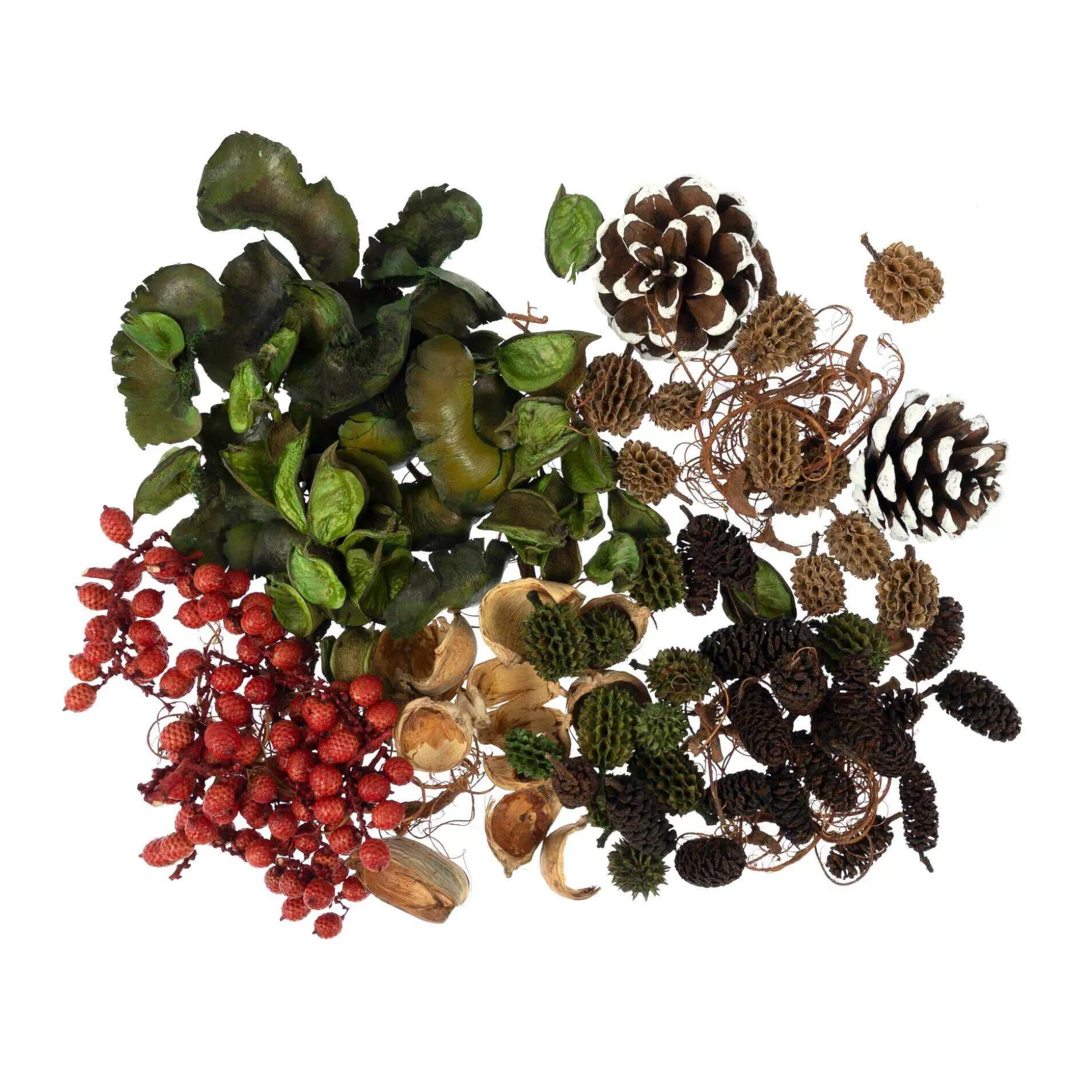 Red And Green Wreath Making Kit-Hobbycraft New