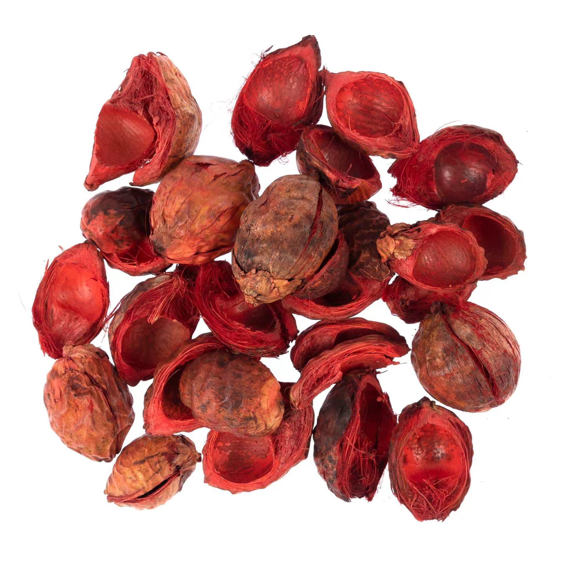 Red Beetal Pods 80G-Hobbycraft Outlet