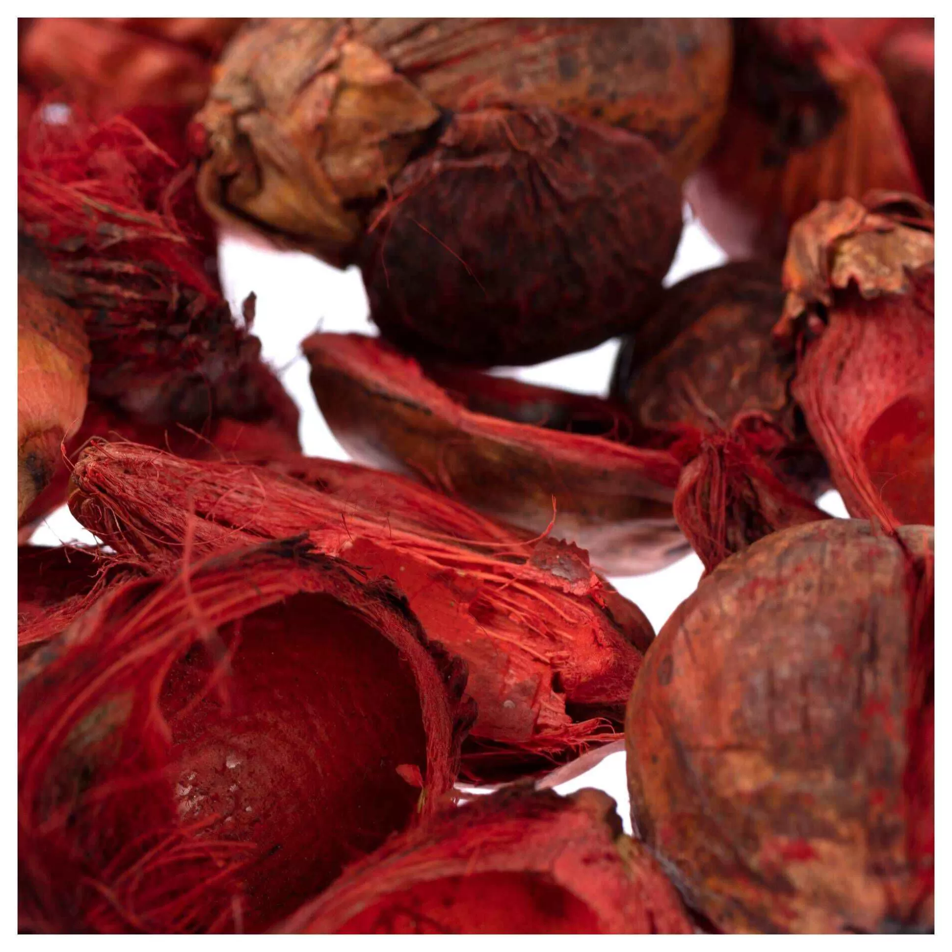 Red Beetal Pods 80G-Hobbycraft Outlet