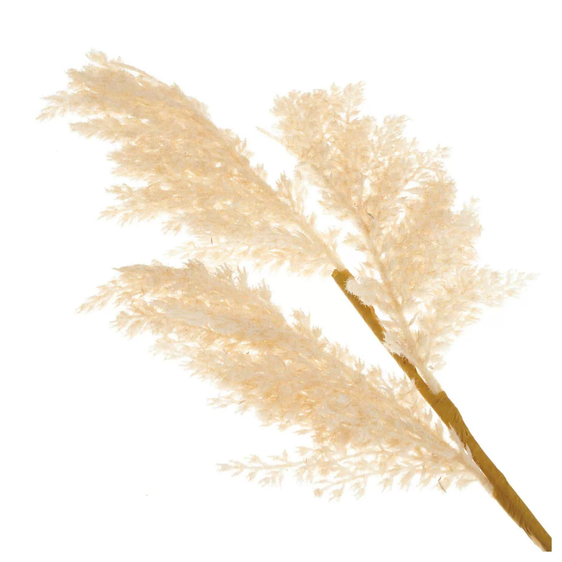 Tall Ivory Leaf Stem 68.5Cm-Hobbycraft Outlet